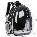 Cats & Dogs Bagpack