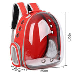Cats & Dogs Bagpack