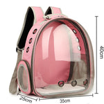 Cats & Dogs Bagpack