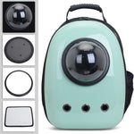 Cats & Dogs Bagpack