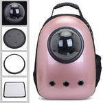 Cats & Dogs Bagpack